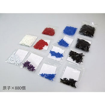 DNA・RNA分子模型 教育用 3B Scienitific