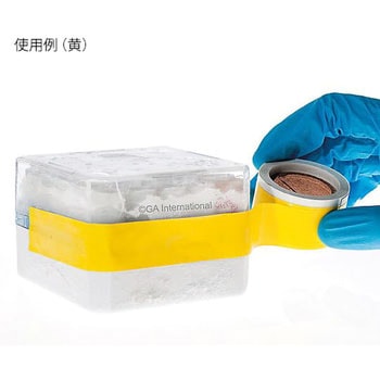 凍結容器用テープ 19mm×15m GA International