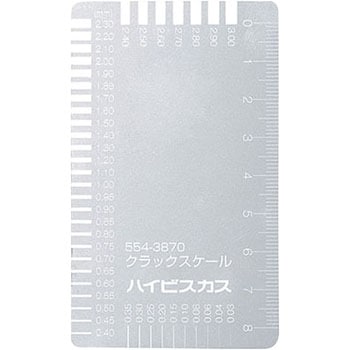 クラックスケール ハイビスカス(ランドアート)