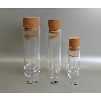 殺虫管 硼珪酸ガラス 志賀昆虫普及社