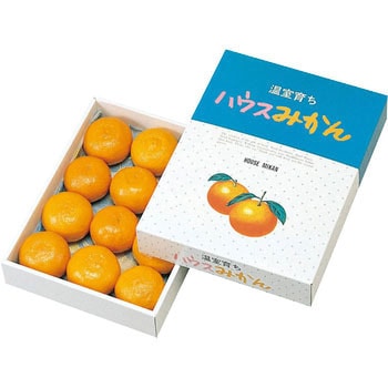 ハウスみかん ヤマニパッケージ