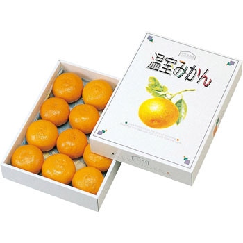 L-331 温室みかん1kg ヤマニパッケージ 果物・フルーツ フタ・身 寸法