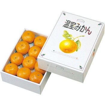 温室みかん2kg ヤマニパッケージ