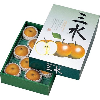 三水 ヤマニパッケージ