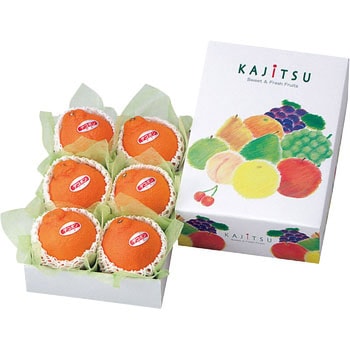 果実パレット(ミニ) - ヤマニパッケージ