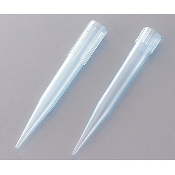 ブルーチップ Thermo Fisher Scientific