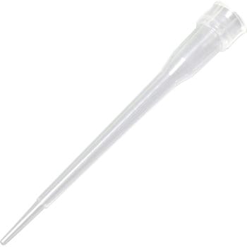 MBPチップ Thermo Fisher Scientific