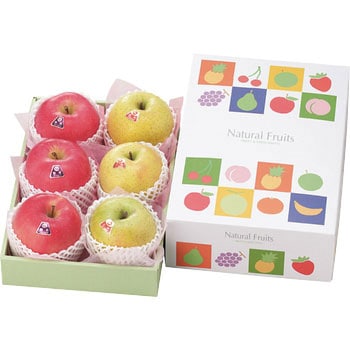 ナチュラルフルーツ(中) ヤマニパッケージ