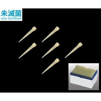 IN122-703Y ACrX(R)sybg`bv  ({bNXpbNpXyA[v[g) ACrX 33405854