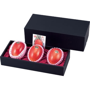 マンゴー3ヶ入黒 ヤマニパッケージ