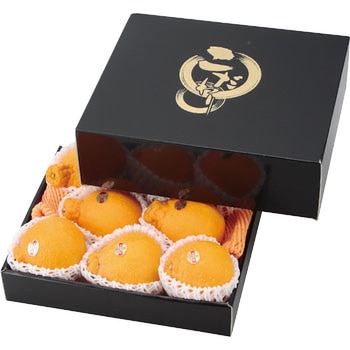 こだわりの黒(中) ヤマニパッケージ