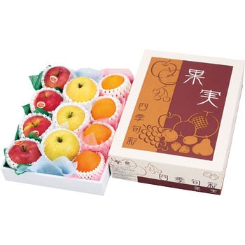 果実 四季旬彩 大 ヤマニパッケージ