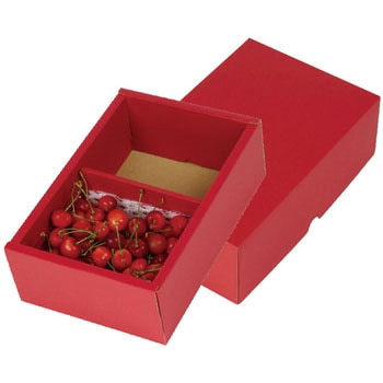 フルーツトレー 500g 2P 赤 ヤマニパッケージ かぶせ箱 【通販モノタロウ】 L-2424
