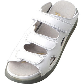 ドクターダリウス ビーウェル