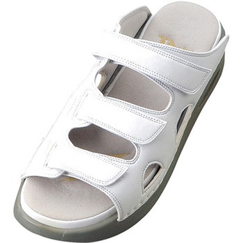 DD00103 hN^[_EX r[EF T_ 33447741