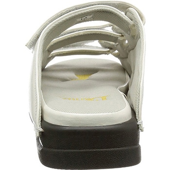 ドクターダリウス ビーウェル