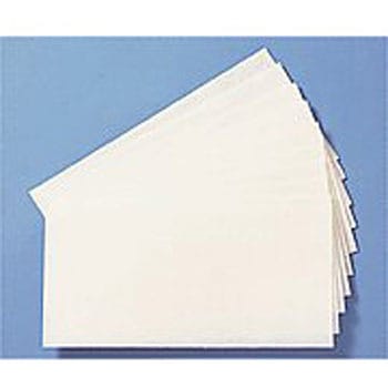 ディスインフェクター30 アズワン