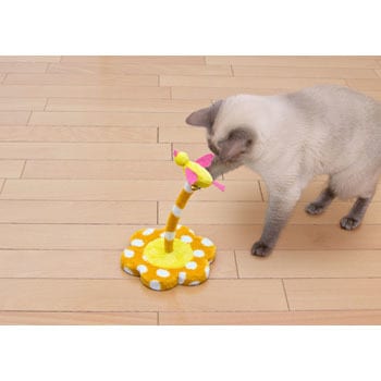 ミニキャットランド - アイリスオーヤマ