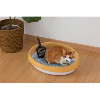 ネコのトイレ アイリスオーヤマ
