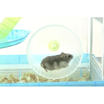 ハムスターケージ アイリスオーヤマ