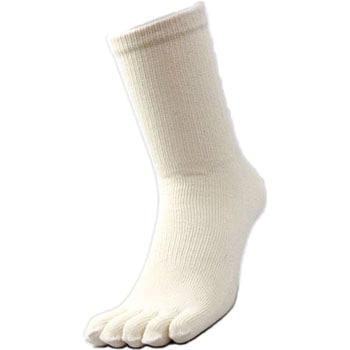 消臭サポーター厚地5本指カカトナシ FUKUTOKU(福徳産業)