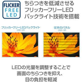 19．5型ワイド液晶ディスプレイ ProLite E2083HSD-2 (LED) iiyama(イイヤマ)