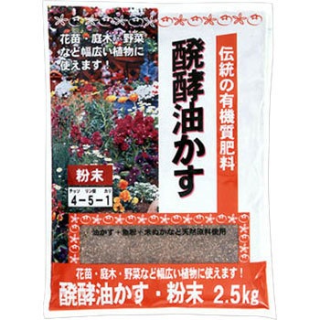 - �`�������� ���� 33662878