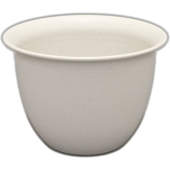 12�� �Z���i�|�b�g �A�C���X�I�[���} 33669808