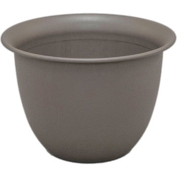 12�� �Z���i�|�b�g �A�C���X�I�[���} 33669817