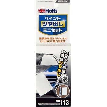 ペイントツヤ出しミニセット 武蔵ホルト