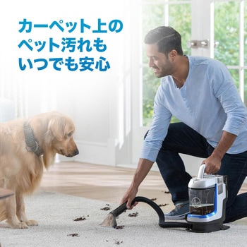 スポットレス・ゴー Hoover