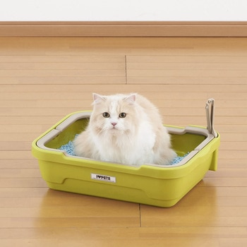 しつけるトイレ ボンビアルコン