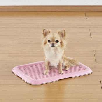 薄型しつけるトレー ボンビアルコン