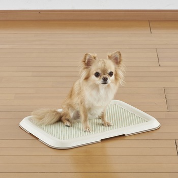 薄型しつけるトレー ボンビアルコン