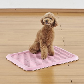 薄型しつけるトレー ボンビアルコン