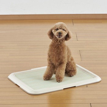 薄型しつけるトレー ボンビアルコン