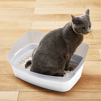 しつけるトイレ クリアキャット ボンビアルコン
