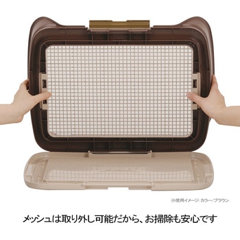 しつけるウォールトレー ボンビアルコン