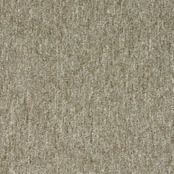 NT339 J[ybg^C NT350 TQc 35013237