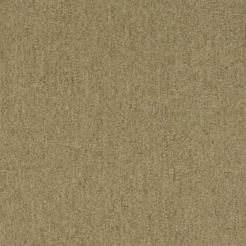 NT343 �J�[�y�b�g�^�C�� NT350 �T���Q�c 35013264