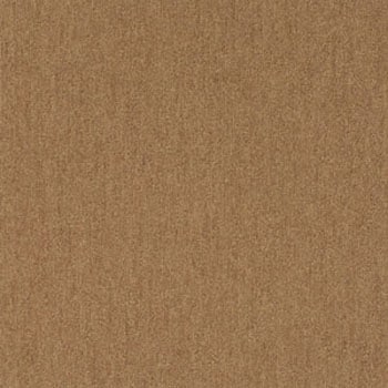 NT344 J[ybg^C NT350 TQc 35013273