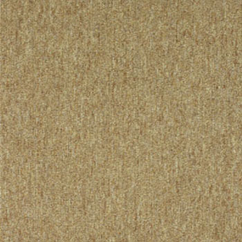 NT359 �J�[�y�b�g�^�C�� NT350 �T���Q�c 35013395