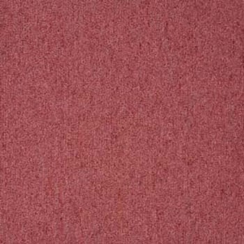 NT383 J[ybg^C NT350 TQc 35013544