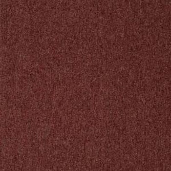 NT384 J[ybg^C NT350 TQc 35013553