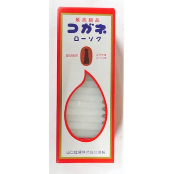 コガネ コローマメダルマ 225G 山口蝋燭
