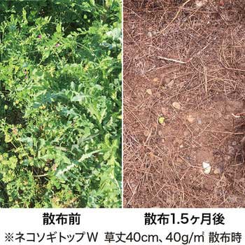 ネコソギトップW粒剤 レインボー薬品