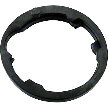 P501G T[X^bgpbL HKT 35320232