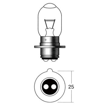 6v 30 watt bulb