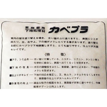 カベプラ - サンホーム