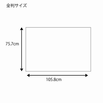 こげ茶 筋入包装紙 1パック(100枚) HEIKO 【通販サイトMonotaRO】